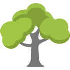 Reston Tree Removal Service
