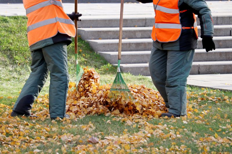 Leaf Raking in Progress