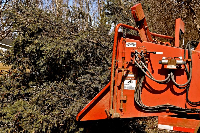 Tree Removal Equipment in Use